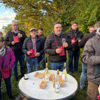 Weinprobe in den Weinbergen des Weingutes Loos aus Dingolshausen Weinprobe in den Weinbergen des Weingutes Loos aus Dingolshausen